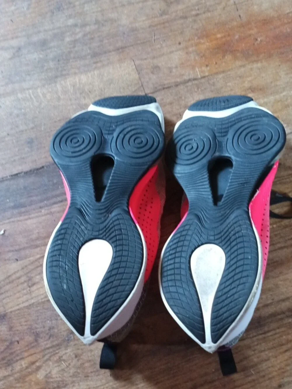 Jordan Air Zoom Renegade Shoes